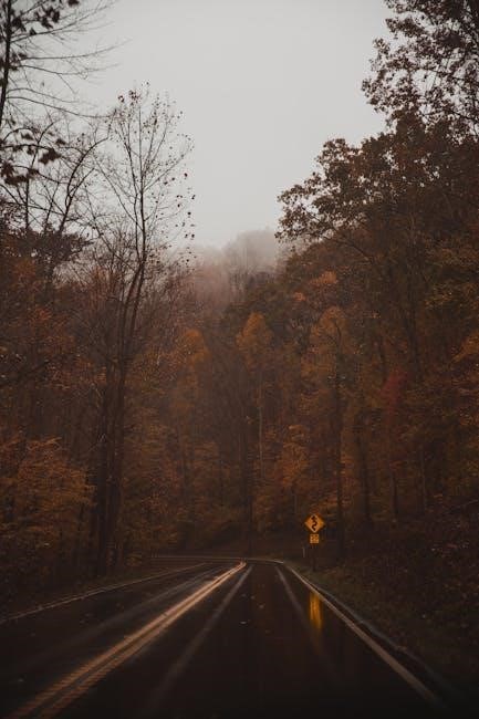 manual de conducir de tennessee en español