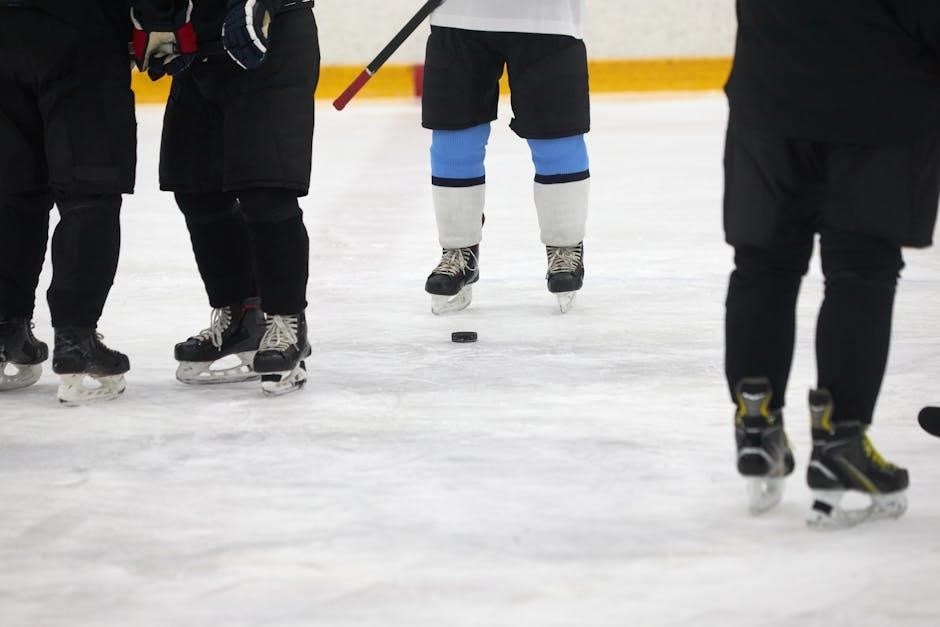 jackson ice skates size guide